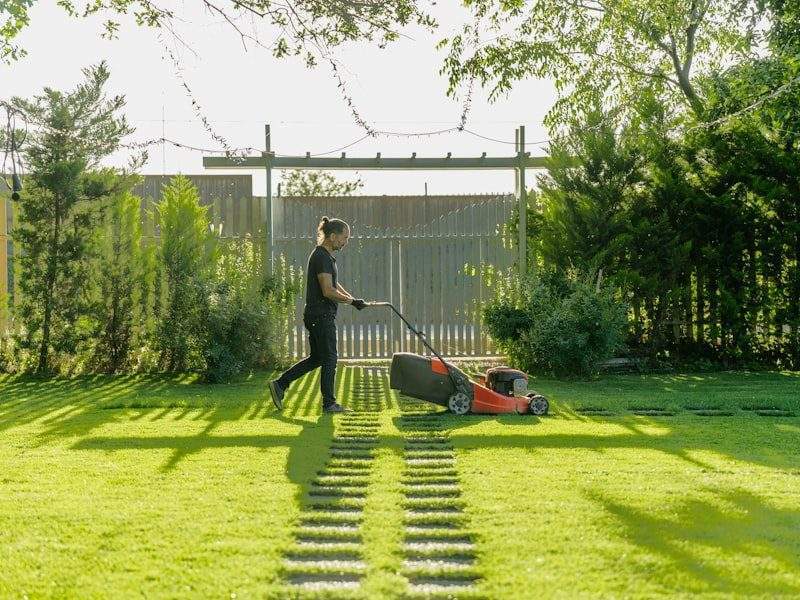 Clean yard after debris removal in Bremerton, WA